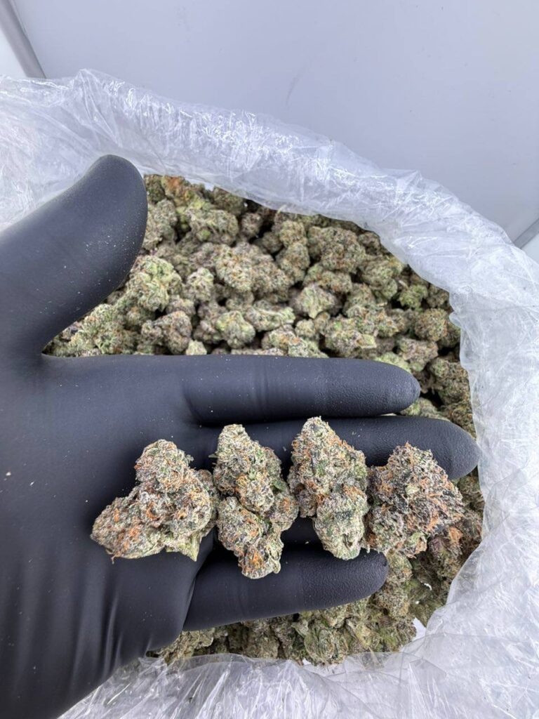 buy strain horse farm weed online, farmer's daughter weed strain for sale, order dumpster strain flora farms online, horse farm cannabis strain near me, farmer's daughter strain review and effects, dumpster weed strain price per ounce, flora farms dumpster strain buy now, premium farmer’s daughter strain seeds