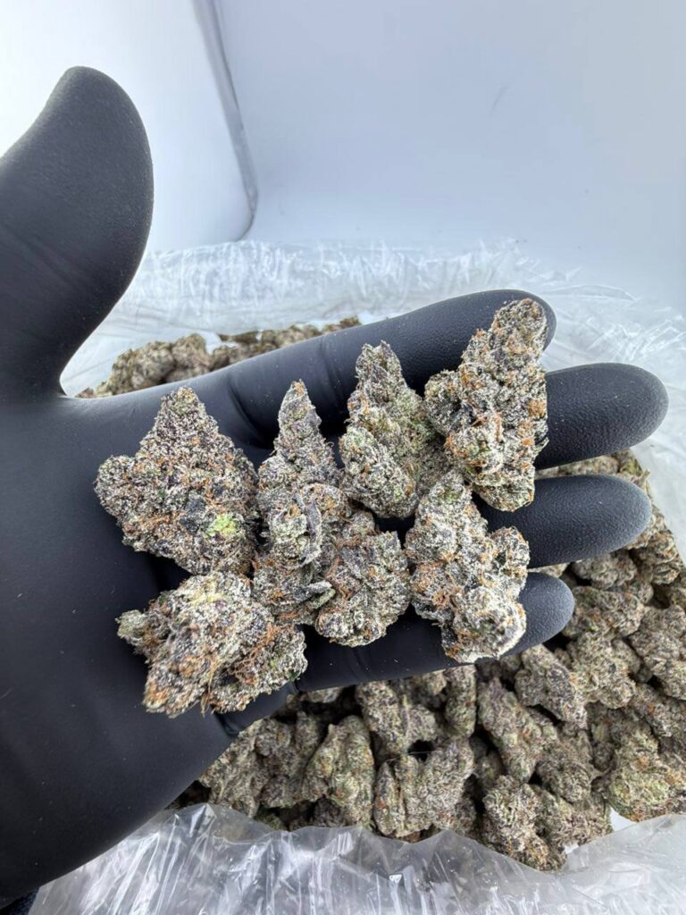 A5 Wagyu Marijuana Strain
