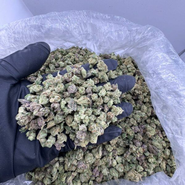 black mamba strain