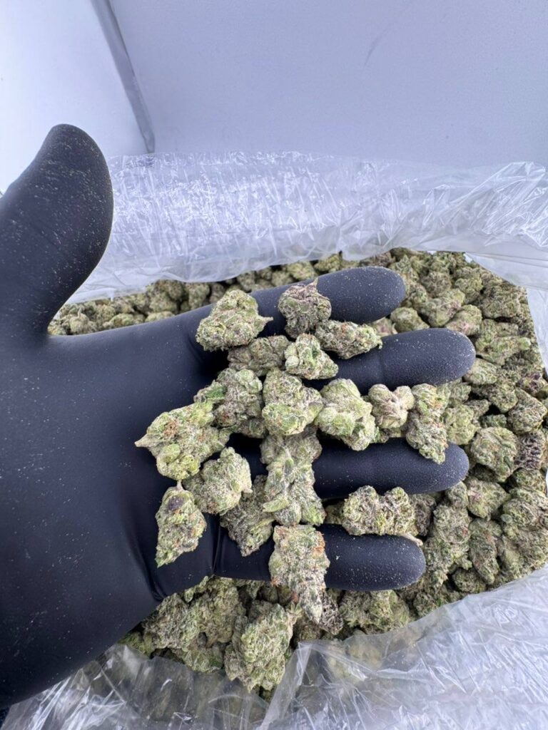 buy blue nerdz strain online, blue spring cookies strain weed for sale, blue slushie strain raw genetics review, order blue slushie strain allbud, blue runtz strain allbud buy now, blue raspberry snow cone strain price, premium blue razzsicle strain leafly info, blue note weed strain near me