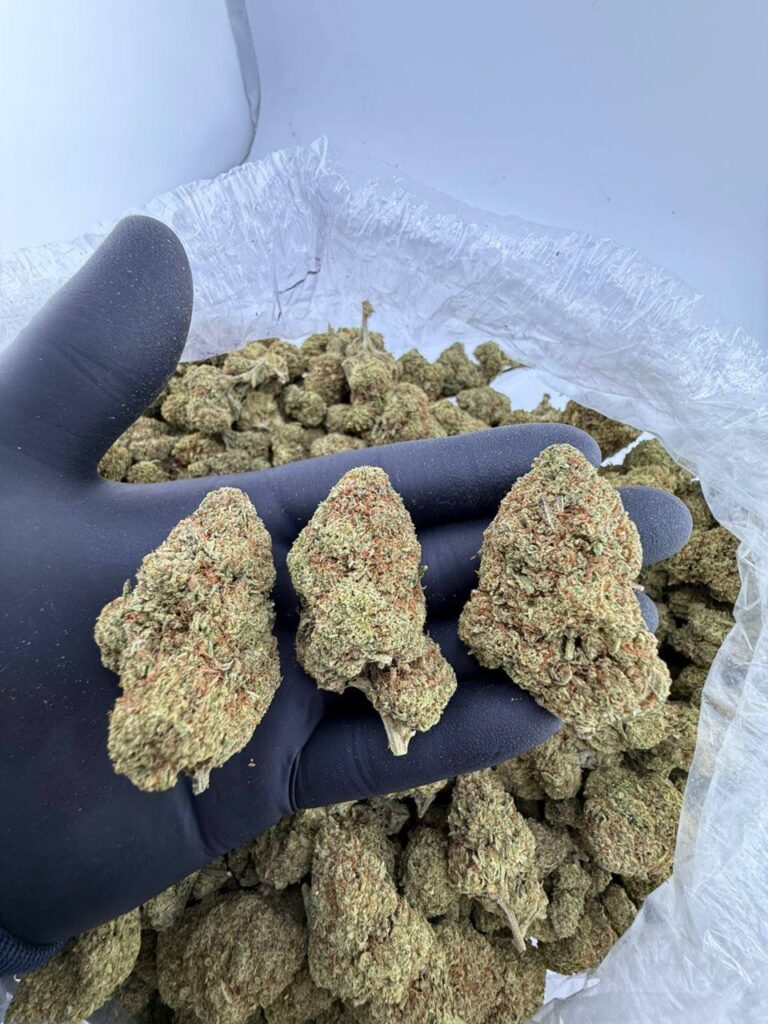 buy Frost Donkey BX1 weed strain online, Frost Donkey BX1 strain for sale near me, Donkey Butter strain price per ounce, Frost Donkey BX1 strain review and effects, Donkey Butter hybrid strain buy online, Frost Donkey BX1 THC level and genetics, Donkey Butter strain allbud and Leafly info, best dispensary for Frost Donkey BX1 near me