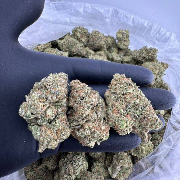 buy Mochi Cake strain online, Mochi Cake weed strain for sale near me, order Mochi Cake hybrid strain delivery, Mochi Cake strain review and effects, Mochi Cake strain Leafly and Allbud info, Mochi Cake cannabis flower THC level, Mochi Cake strain price per ounce, premium Mochi Cake strain dispensary deals