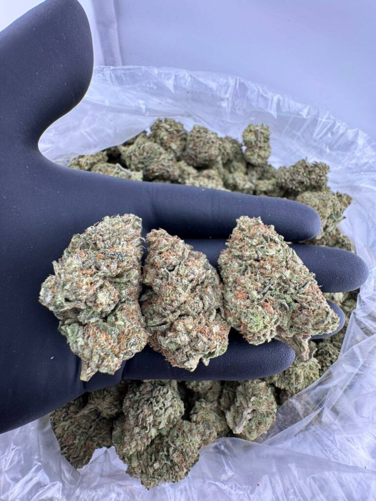 buy Mochi Cake strain online, Mochi Cake weed strain for sale near me, order Mochi Cake hybrid strain delivery, Mochi Cake strain review and effects, Mochi Cake strain Leafly and Allbud info, Mochi Cake cannabis flower THC level, Mochi Cake strain price per ounce, premium Mochi Cake strain dispensary deals
