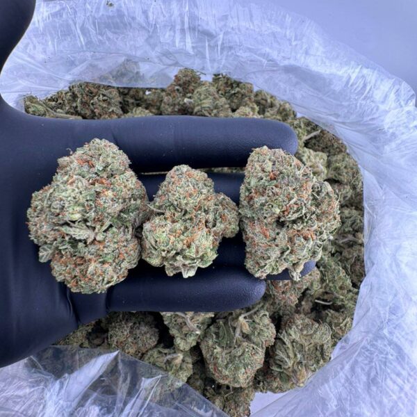 buy Dum Dumz strain online, Dum Dumz weed strain for sale near me, order premium Dum Dumz cannabis flower, Dum Dumz strain effects and reviews, Dum Dumz hybrid strain price per ounce, Blue Dum Dumz strain vs Sour Dum Dumz, Cherry Dum Dumz exotic weed strain, Dum Dumz strain Leafly profile and THC level