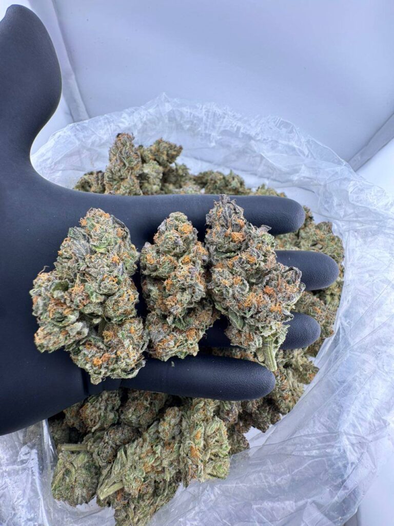 buy Obi Wan Kenobi weed strain online, Odo Wan Kenobi strain for sale near me, Obi Wan Kenobi OG strain price per ounce, Brobi Wan Kenobi strain THC and effects, Obi-Wan Kenobi strain review and Leafly profile, Gabriel’s Obi Wan Kenobi strain dispensary menu, OG Wan Kenobi hybrid strain online, Shop exotic Star Wars-themed cannabis strains