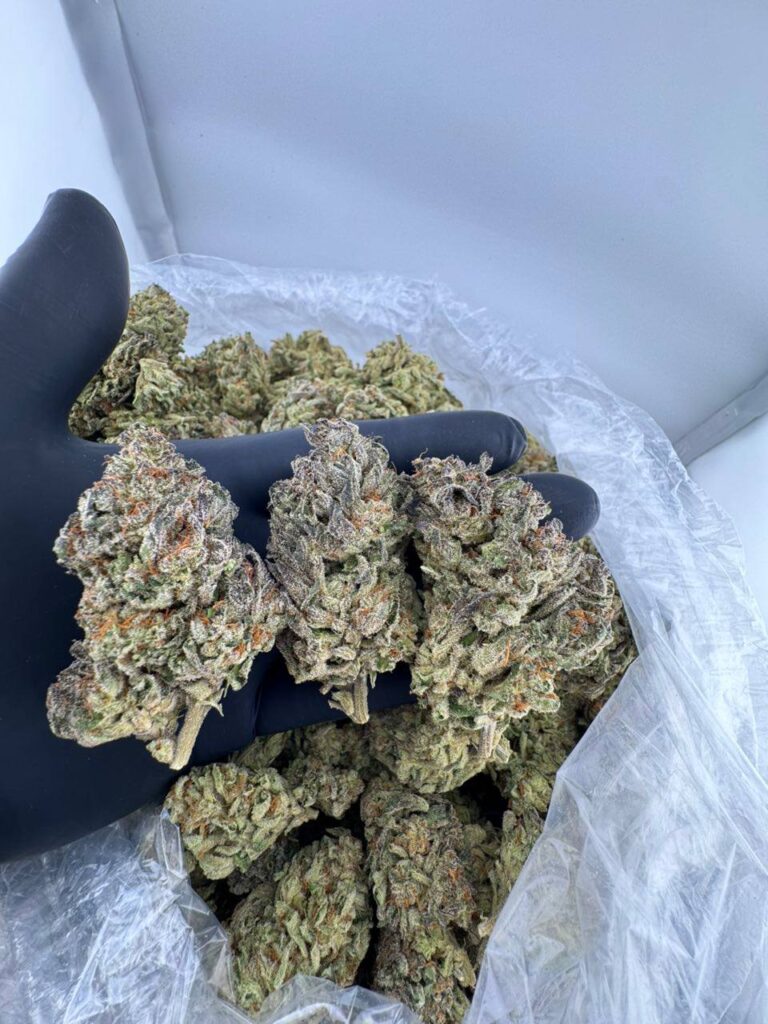buy Fruit Stand strain online, Fruit Stand weed strain for sale near me, Fruit Stand strain Leafly review and effects, Fruit Stand cannabis strain Revolution dispensary, purchase Fruit Stand strain indica or sativa, Fruit Stand strain price and THC level, order Fruit Stand hybrid strain bulk, Fruit Stand strain allbud profile and terpene info