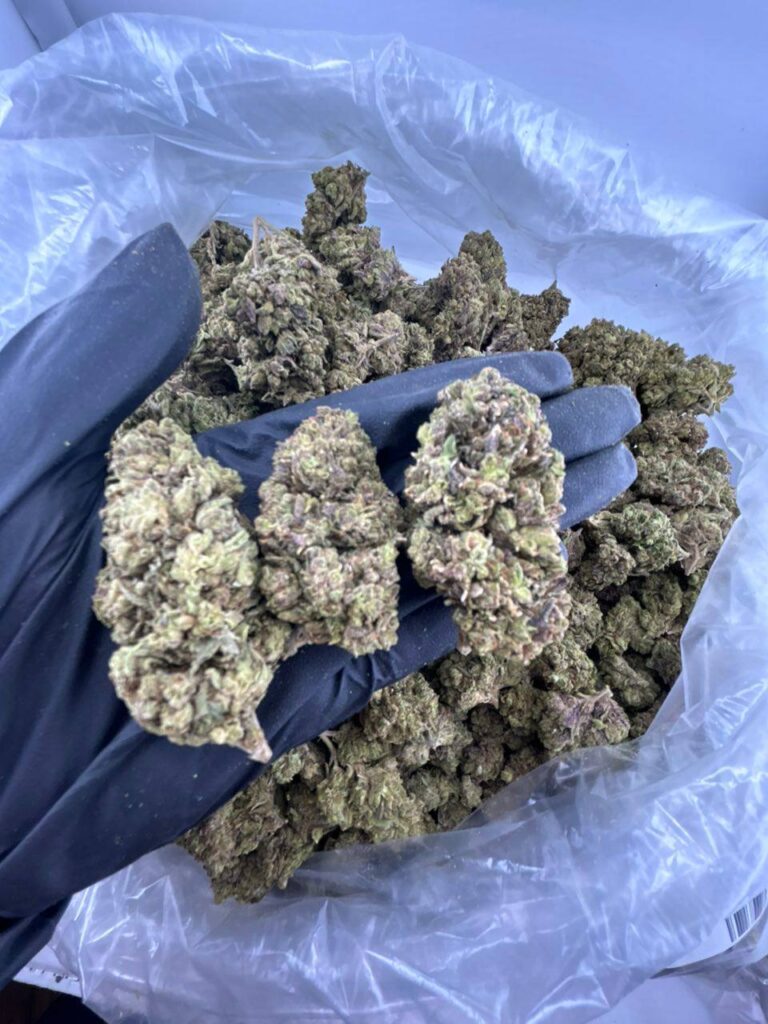 buy permanent marker strain online, permanent marker weed strain for sale, order permanent marker strain near me, permanent marker strain price per ounce, permanent marker strain review and effects, permanent marker strain indica or sativa info buy, premium permanent marker weed strain, permanent chimera strain for sale
