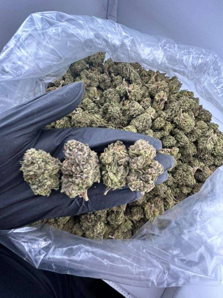 buy candy land strain online, candy land weed strain for sale, candy land runtz strain price per ounce, order candy land cake bar strain now, candy land cake strain review and effects, candy land cookies strain buy near me, premium candy land marijuana strain online, candy land mmj strain dispensary deals