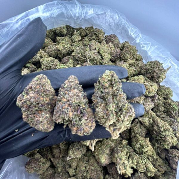 buy promethazine strain online, promethazine weed strain for sale, promethazine strain price near me, order promethazine runtz strain, purple promethazine strain review and effects, promethazine strain allbud info buy, promethazine strain leafly rating, promethazine indica or sativa weed strain