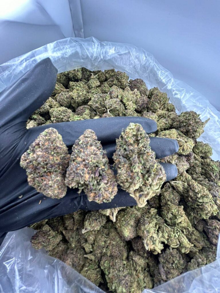 buy promethazine strain online, promethazine weed strain for sale, promethazine strain price near me, order promethazine runtz strain, purple promethazine strain review and effects, promethazine strain allbud info buy, promethazine strain leafly rating, promethazine indica or sativa weed strain