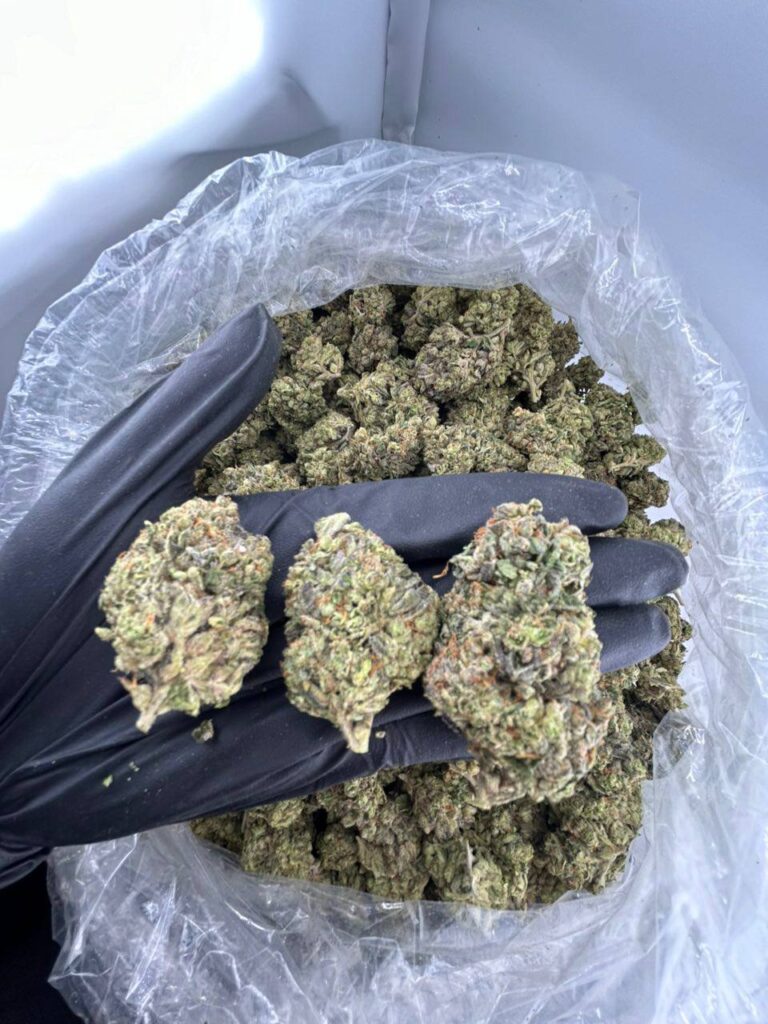buy Mobil 1 strain online, Mobil One Breath strain for sale near me, Mobil 1 weed strain price and effects, order Mobil 1 exotic strain now, Mobil One Breath weed strain review, premium Mobil 1 strain seeds for sale, Mobil 1 strain indica or sativa info, Mobil 1 cannabis strain online dispensary