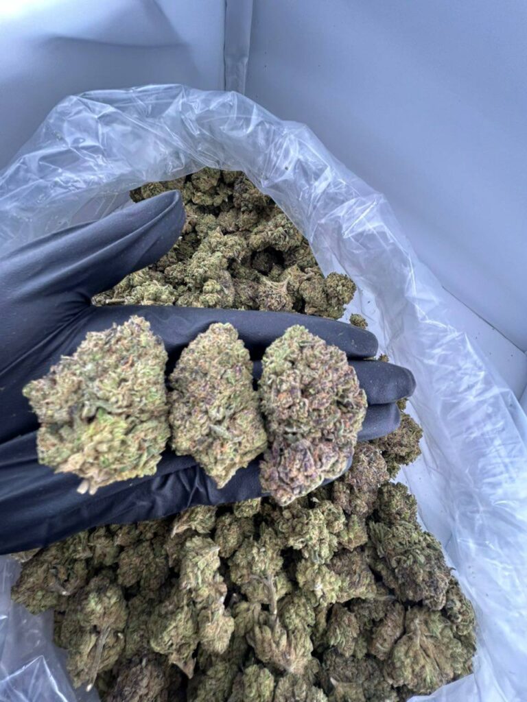 buy super runtz strain online, super runtz weed strain for sale near me, super runtz strain review and effects, super runtz strain allbud info buy, order super pure runtz strain online, super cherry runtz strain weed price, super sour runtz strain for sale, super runtz strain indica or sativa guide