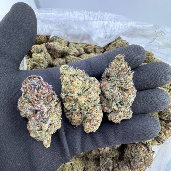 buy Bling Blaow strain online, Bling Blaow weed strain for sale, Bling Blaow strain effects and review, order Bling Blaow strain near me, Bling Blaow strain leafly info buy, Bling Blaow strain price per ounce, Bling Blaow exotic weed strain, Bling Blaow indica or sativa strain guide