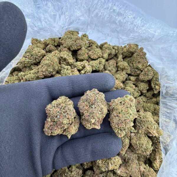 buy 7 Up strain online, 7 Up weed strain for sale, Cherry 7 Up strain review and effects, 7 Up OG strain near me, 7 Up Cake strain buy now, premium 7 Up pound cake strain online, 7 Up cannabis strain price per ounce, order 7 Up weed strain delivery