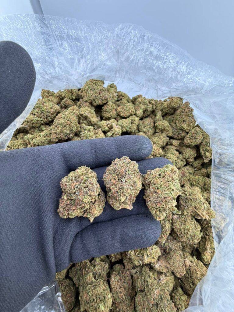 buy 7 Up strain online, 7 Up weed strain for sale, Cherry 7 Up strain review and effects, 7 Up OG strain near me, 7 Up Cake strain buy now, premium 7 Up pound cake strain online, 7 Up cannabis strain price per ounce, order 7 Up weed strain delivery
