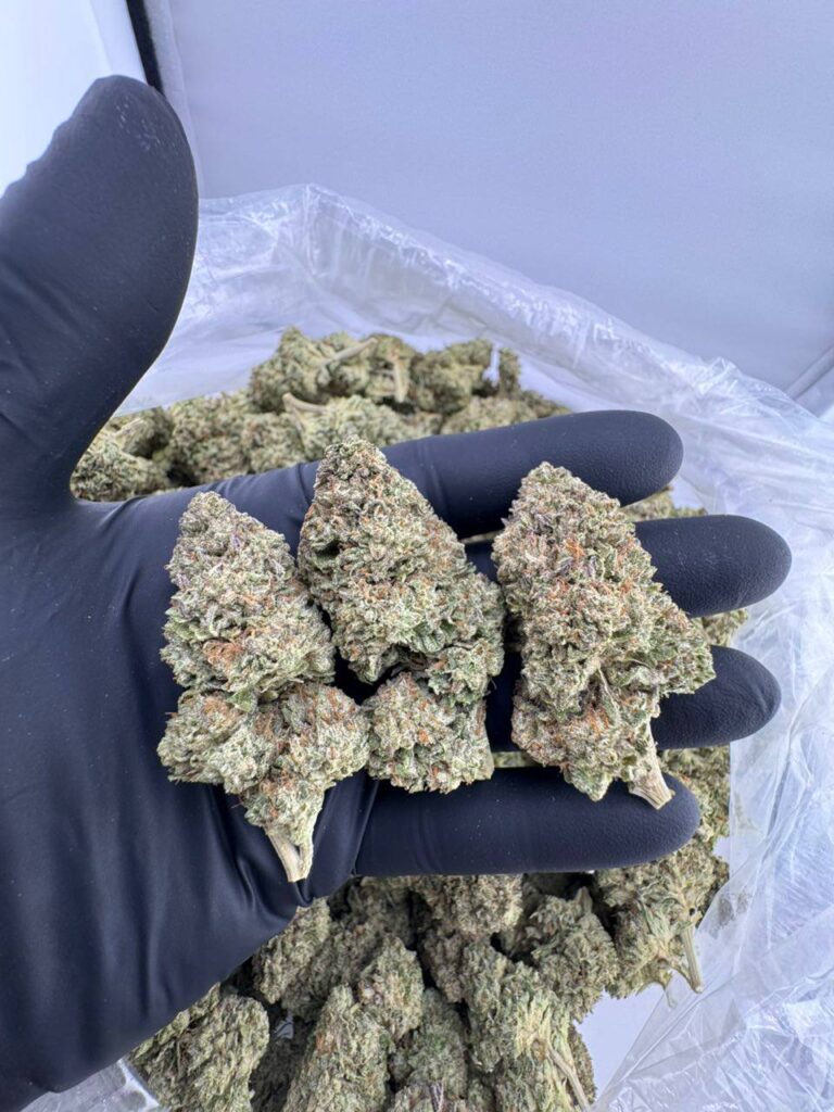 snow runtz strain, snow runtz weed strain, buy snow runtz strain, snow runtz strain for sale, snow runtz marijuana strain, snow runtz strain near me, snow runtz strain seeds