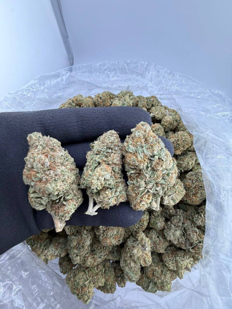 buy Frosted Flakes strain online USA, Frosted Flakes weed strain for sale near me, premium Frosted Flakes exotic strain price, Frosted Flakes strain effects and reviews, Frosted Flakes indica or hybrid weed info, order Frosted Flakes cannabis strain now, Frosted Flakes strain Leafly rating and THC level, Frosted Flakes weed delivery discreet shipping USA