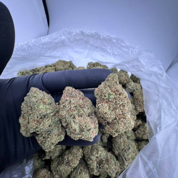 super glue strain, buy super glue weed strain, super glue strain near me, super glue strain effects, super glue strain seeds, super glue marijuana strain, super glue strain price