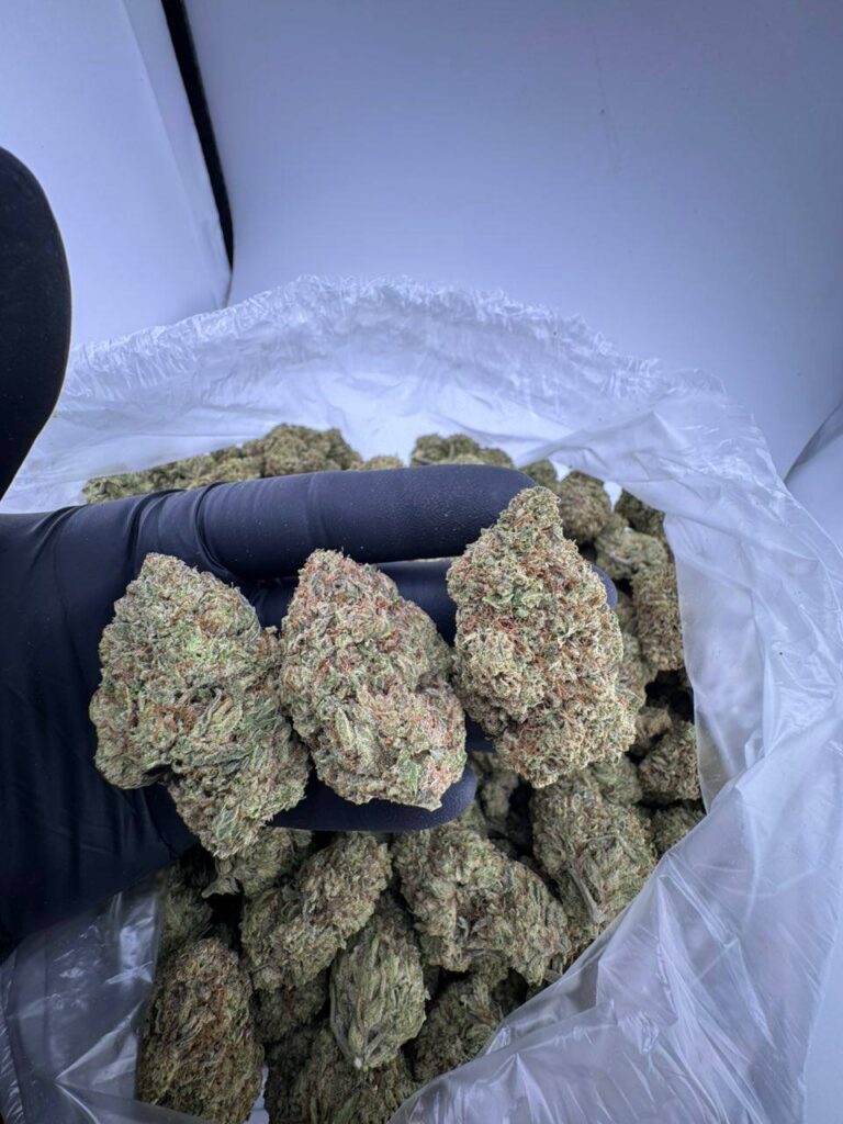 super glue strain, buy super glue weed strain, super glue strain near me, super glue strain effects, super glue strain seeds, super glue marijuana strain, super glue strain price