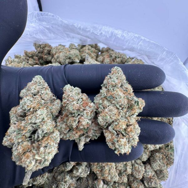 hubba bubba strain, hubba bubba weed strain, hubba bubba runtz strain, hubba bubba gelato strain, hubba bubba kush strain, hubba bubba strain review, hubba bubba strain indica or sativa