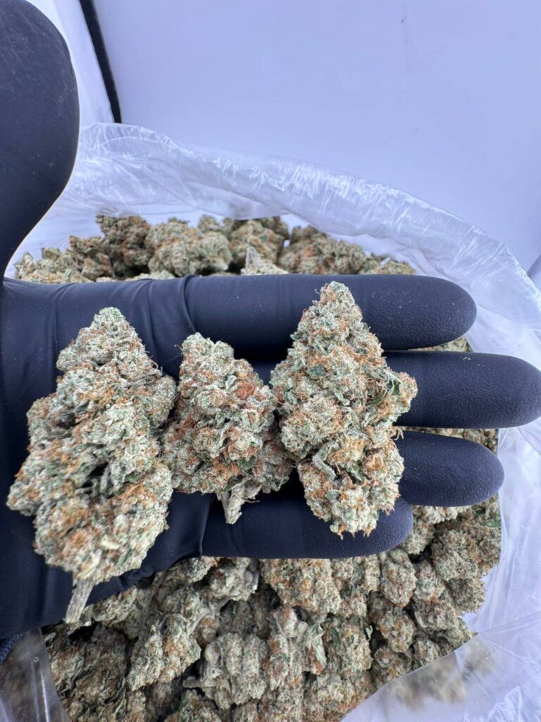 hubba bubba strain, hubba bubba weed strain, hubba bubba runtz strain, hubba bubba gelato strain, hubba bubba kush strain, hubba bubba strain review, hubba bubba strain indica or sativa