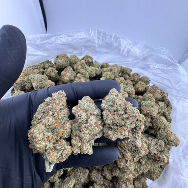 sour grapez strain, sour grapez trulieve, sour grapez, sour grapez strain review, sour grapez weed strain, sour grapez strain effects, sour grapez strain indica or sativa