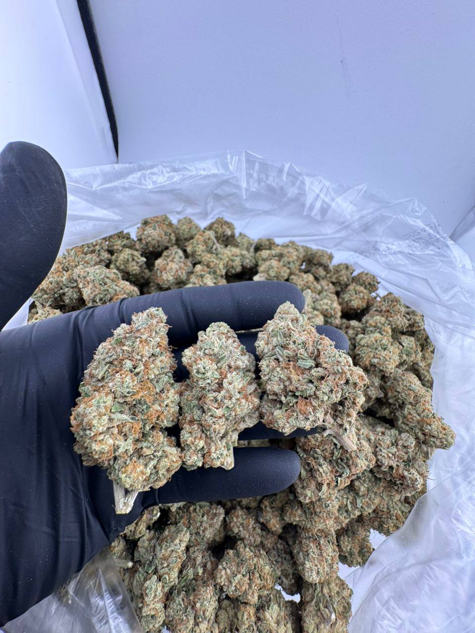 sour grapez strain, sour grapez trulieve, sour grapez, sour grapez strain review, sour grapez weed strain, sour grapez strain effects, sour grapez strain indica or sativa