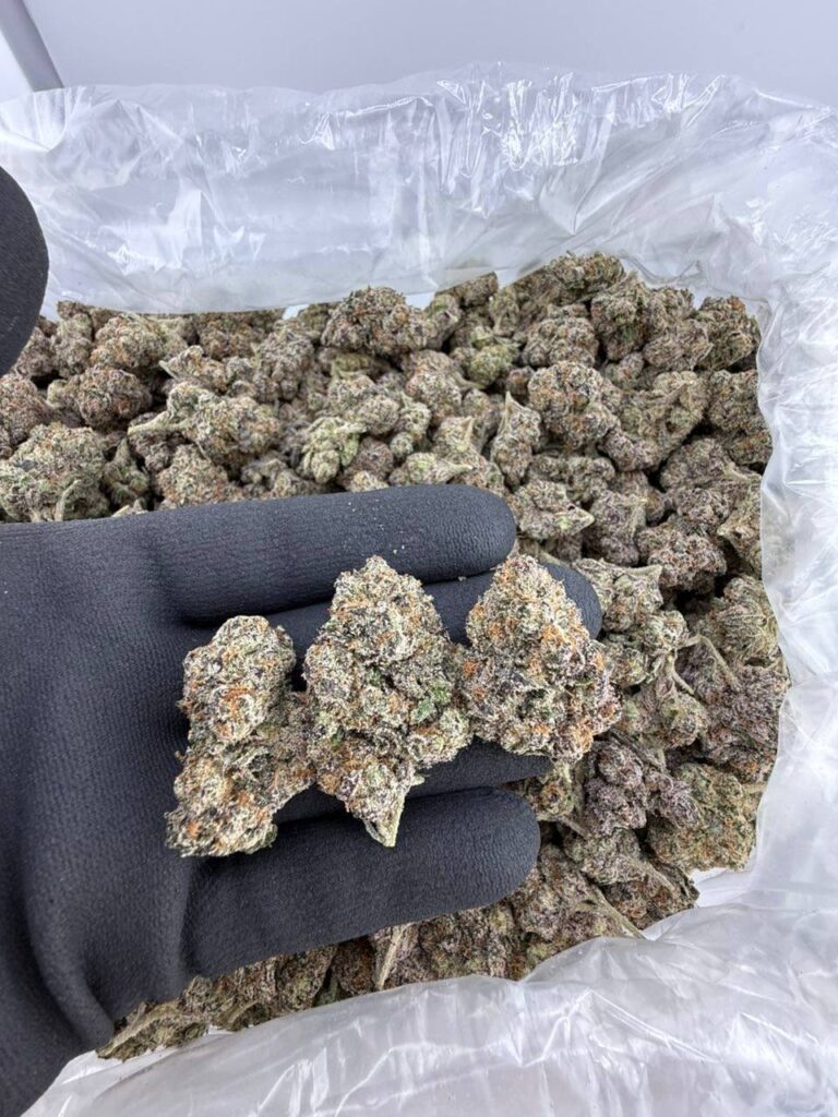 pace Invader weed strain for sale , Space Invader weed strain for sale, Invader Zim strain seeds and clones Space Invaders exotic weed strain effects Purple Invaders cannabis strain reviews order Invader Zim strain near me Apple Invader weed strain THC content
