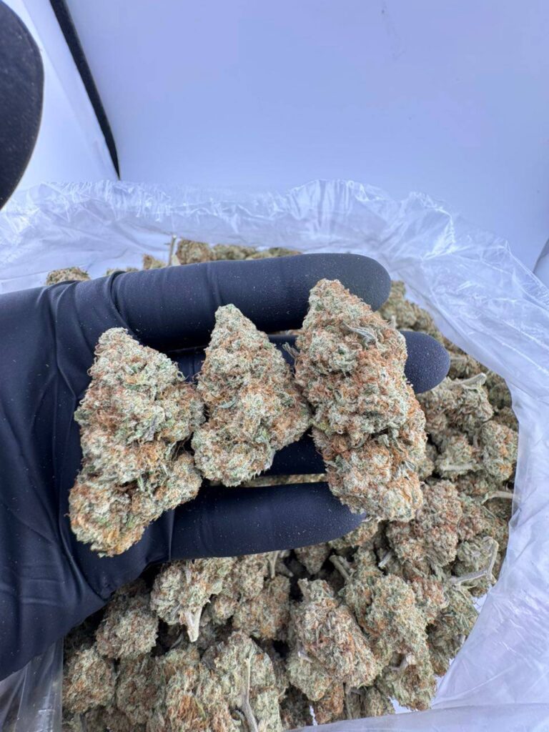 raspberry sorbet strain, raspberry sorbet strain friendly farms, raspberry sorbet strain leafly, raspberry sorbet weed strain, raspberry lime sorbet strain, raspberry sorbet strain review, raspberry sorbet strain effects