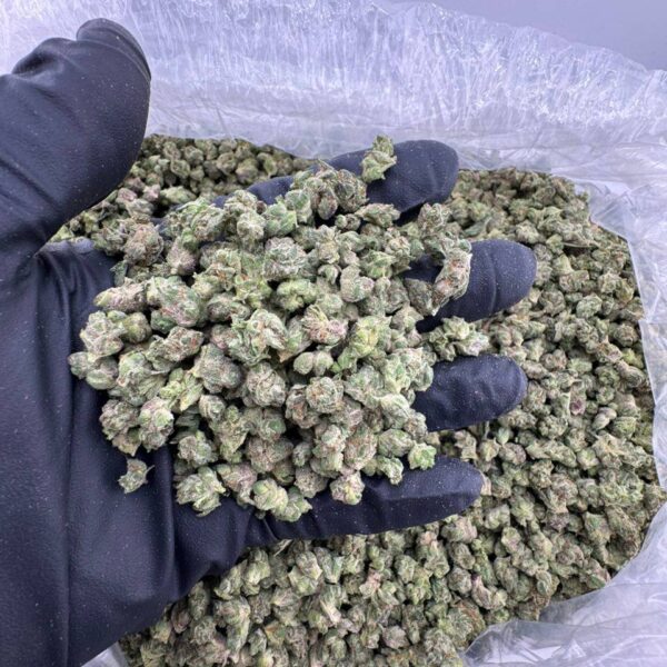 super buff cherry strain, super buff cherry strain leafly, super buff cherry #26 strain, super buff cherry strain indica or sativa, super buff cherry strain allbud, super buff cherries strain, super buff cherry strain review
