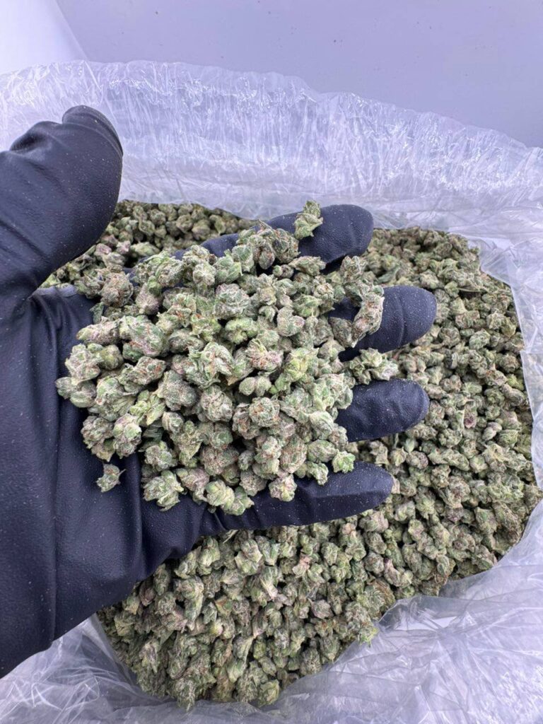 super buff cherry strain, super buff cherry strain leafly, super buff cherry #26 strain, super buff cherry strain indica or sativa, super buff cherry strain allbud, super buff cherries strain, super buff cherry strain review