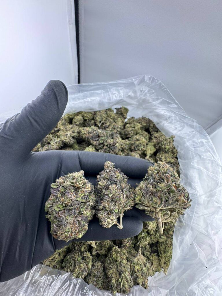 buy Modified Sunset strain online, Modified Sunset weed strain for sale near me, order Modified Sunset strain Mohave cannabis, Modified Sunset strain review and effects, Modified Sunset strain THC content and flavor, Modified Sunset Allbud strain price, Modified Sunset indica or sativa strain info
