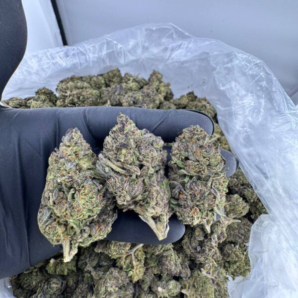 buy Sunset Runtz strain online, Sunset Runtz weed strain for sale, Sunset Runtz strain Leafly reviews, Sunset Runtz strain indica or sativa info, Sunset Runtz strain effects and flavor, order Sunset Runtz strain Allbud, Sunset Runtz cannabis strain price USA