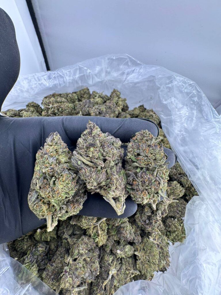 buy Sunset Runtz strain online, Sunset Runtz weed strain for sale, Sunset Runtz strain Leafly reviews, Sunset Runtz strain indica or sativa info, Sunset Runtz strain effects and flavor, order Sunset Runtz strain Allbud, Sunset Runtz cannabis strain price USA