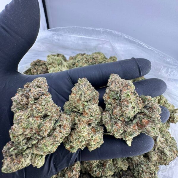 buy Grandi Guava strain online, Grandi Guava weed strain for sale USA, Hightalian Farms Grandi Guava strain bulk order, Grandi Guava strain Allbud reviews, Grandi Guava indica or sativa effects, Grandi Guava strain Leafly info, Grandi Guava strain price per ounce