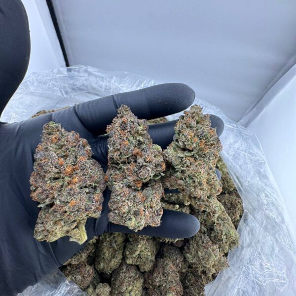 buy Cherry Fade strain online, Cherry Fade weed strain for sale, Cherry Fade cannabis strain Leafly review, order Cherry Fade strain near me, Cherry Fade strain bulk purchase, Cherry Fade hybrid weed for delivery, Cherry Fade strain dispensary deals , Darth Fader strain,