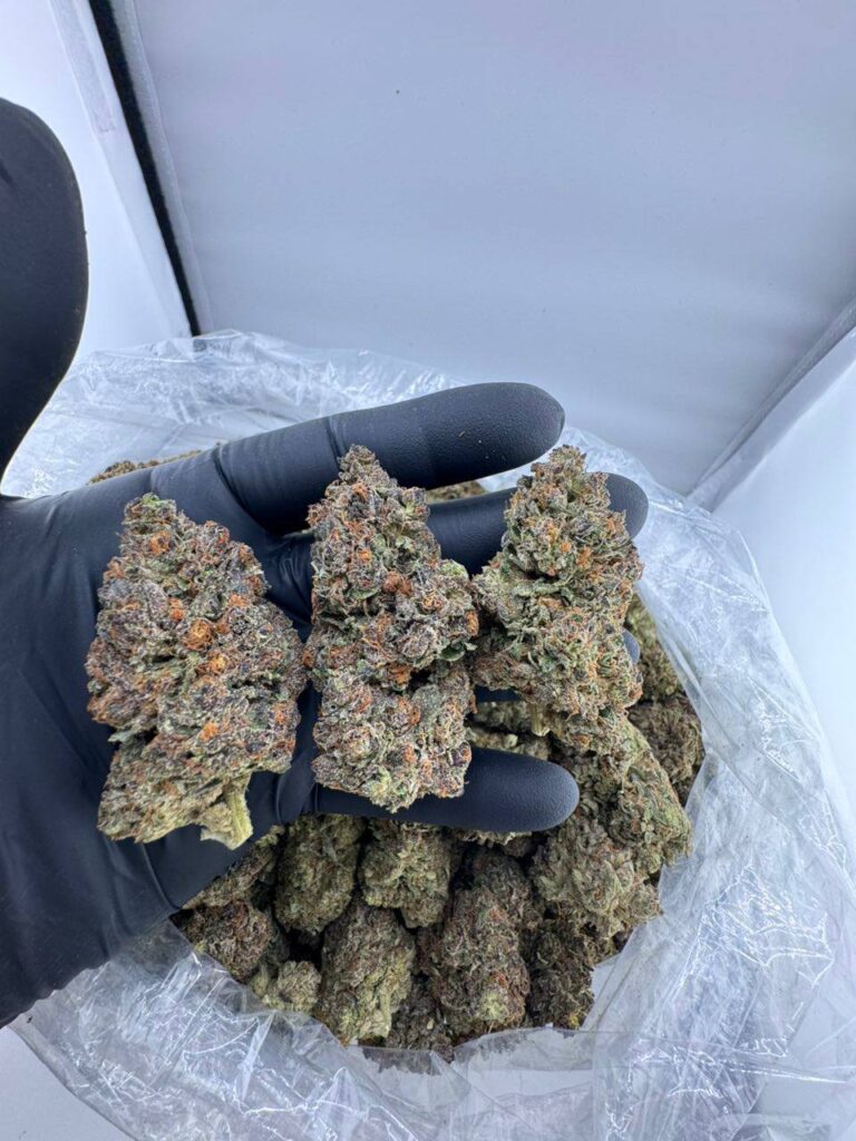 buy Cherry Fade strain online, Cherry Fade weed strain for sale, Cherry Fade cannabis strain Leafly review, order Cherry Fade strain near me, Cherry Fade strain bulk purchase, Cherry Fade hybrid weed for delivery, Cherry Fade strain dispensary deals , Darth Fader strain,