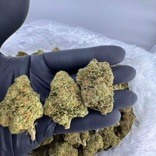 buy Lemon Cherry Gas strain online, Lemon Cherry Gas weed for sale, order Lemon Cherry Gas strain near me, Lemon Cherry Gas strain coldfire disposable, Lemon Cherry Gas hybrid cannabis delivery, Lemon Cherry Gas strain Leafly review, Lemon Cherry Gas bulk weed purchase, lemon cherry gas strain
